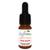 Ancestral Grass Bromeliad 2 | 15ml Remedy
