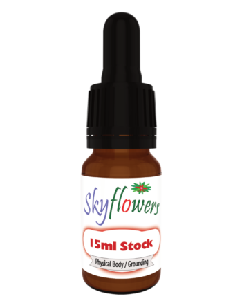 Chilean Blood Grass | 15ml Remedy
