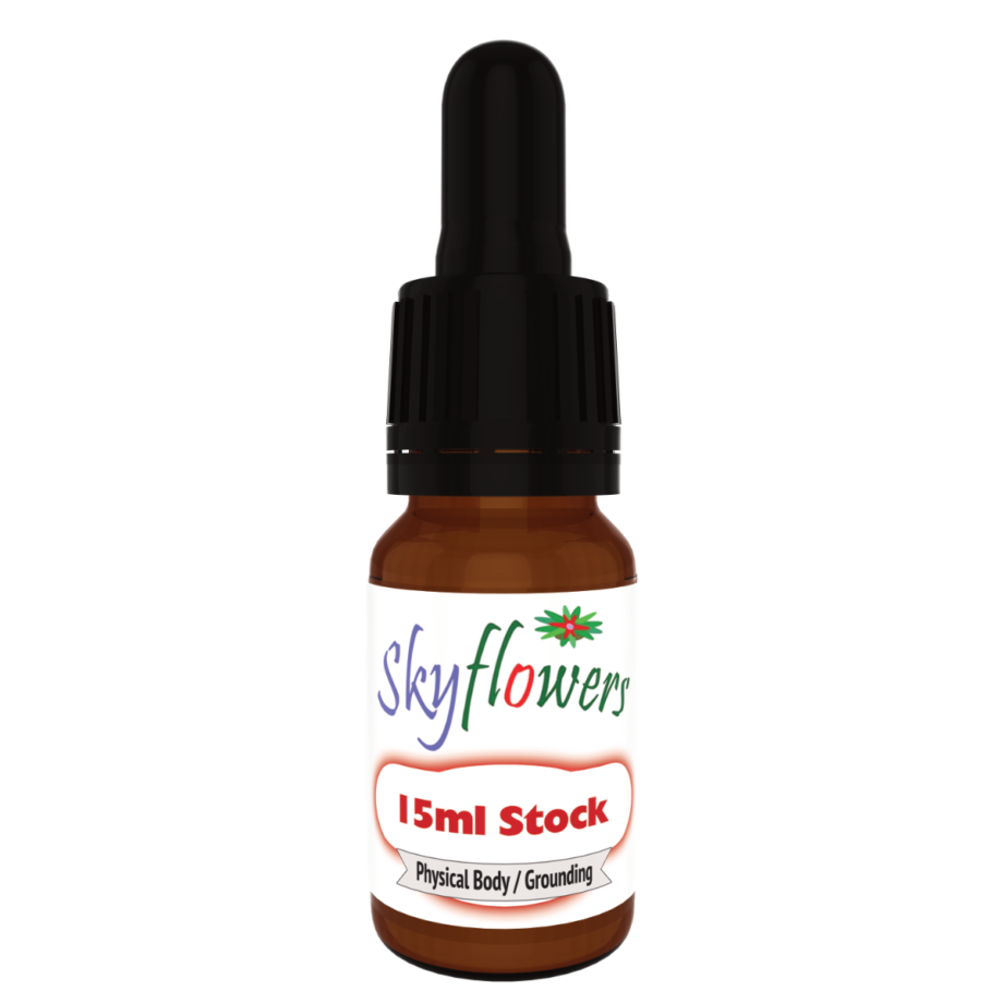 Carpet Bromeliad V, Yellow | 15ml Remedy