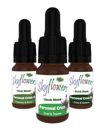 Personal Crisis Toolkit | 3 x 15ml Stock Blends
