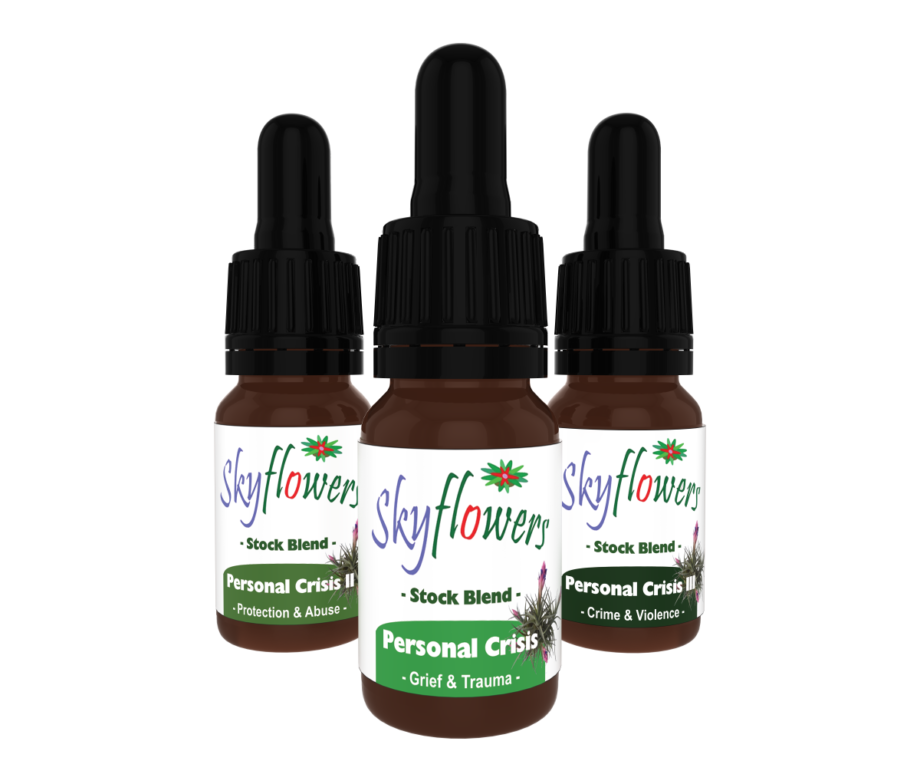 Personal Crisis Toolkit | 3 x 15ml Stock Blends