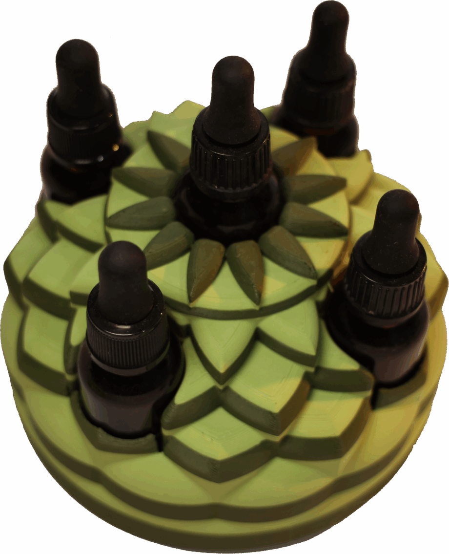 Kit 1 - Pineapple Kit / Barometer of Stress (5x15ml)