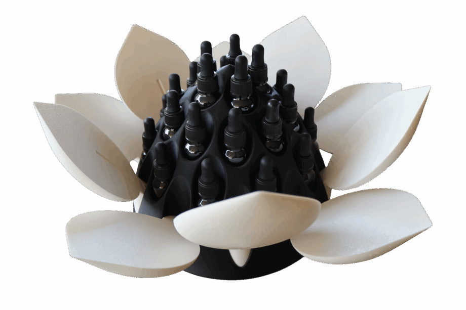 Flower Box | for Flower Remedies or Essential Oils