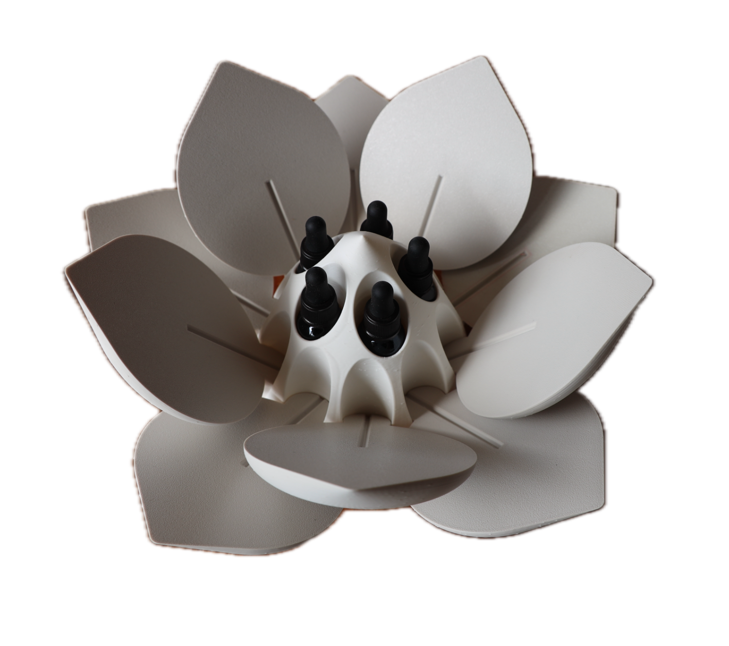 Flower Box 15 - Lotus