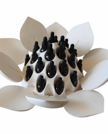 Flower Box 35 - Lotus